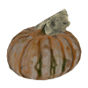 gourd icon consumables fallout 4 wiki guide